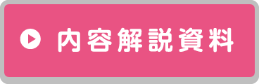 内容解説資料